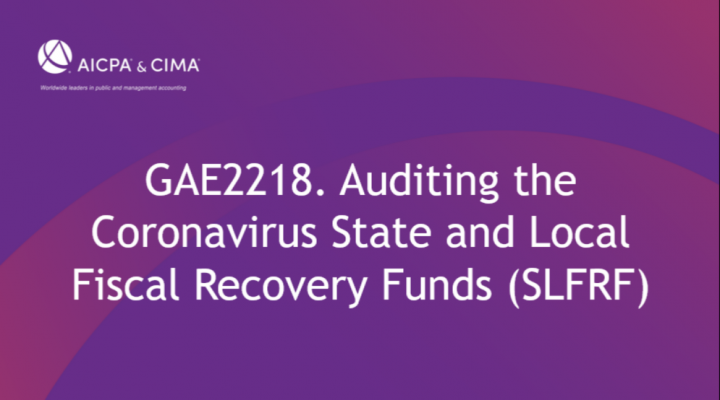 Auditing the Coronavirus State and Local Fiscal Recovery Funds (SLFRF)