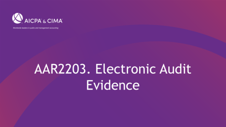 Electronic Audit Evidence
