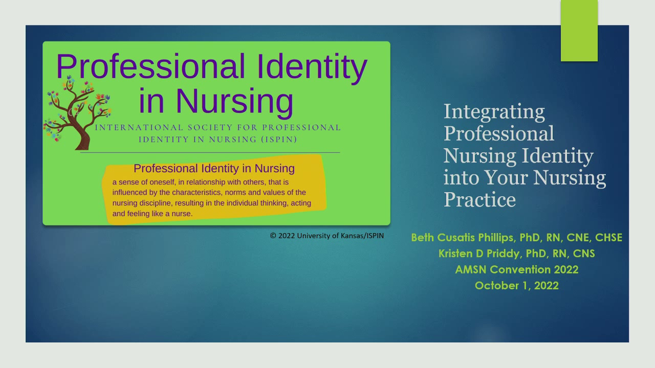 What Is Professional Identity In Education