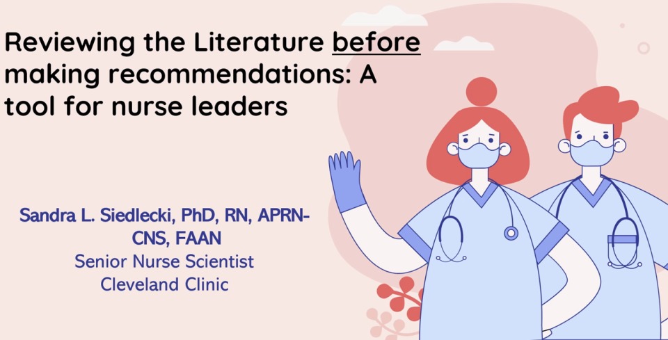 Reviewing the Literature before Making Recommendations: A Tool for Nurse Leaders