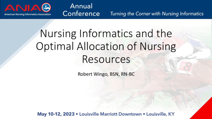 Nursing Informatics and the Optimal Allocation of Nursing Resources