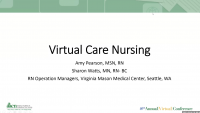 Virtual Nursing Care: Transforming Primary Care Nursing Using Process Improvement Strategies