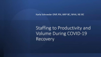 Staffing to Productivity and Volume During COVID-19 Recovery icon