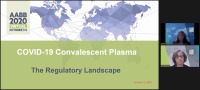 AM20-33: COVID-19 Convalescent Plasma (CCP) -- The Regulatory Landscape