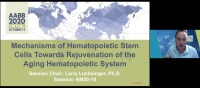 AM20-18: Mechanisms of Hematopoietic Stem Cells Towards Rejuvenation of the Aging Hematopoietic System