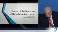 Review of the Treatment of Hyperkalemia in Horses icon