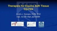 Therapies for Equine Soft Tissue Injuries icon