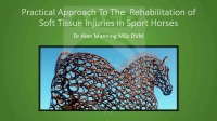 Practical Approach to the Rehabilitation of Soft Tissue Injuries in Sport Horses icon