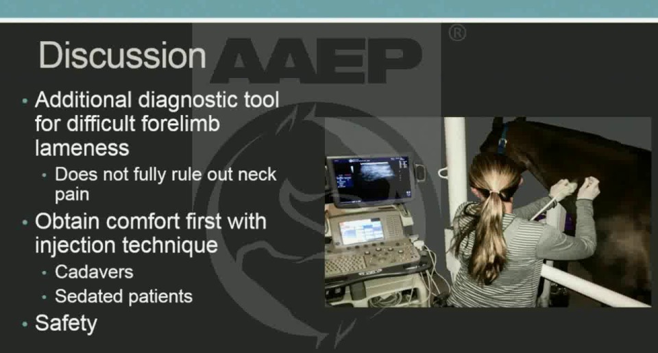 How to Perform Dorsolateral Arthrocentesis of the Distal Intertarsal Joint Using Radiographic
