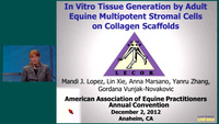 In Vitro Tissue Generation by Adult Equine Multipotent Stromal Cells on Collagen Scaffolds icon