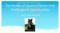 Equine Practice in 2019: Challenges and Opportunities icon