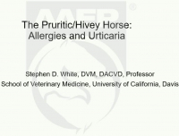The Pruritic/Hivey Horse: Allergies and Urticaria icon