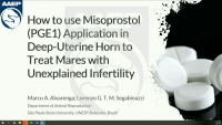 How to Use Misoprostol (PGE1) Application in Deep Uterine Horn to Treat Mares with Unexplained Infertility icon