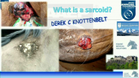 What is an Equine Sarcoid and How Can It Be Managed? icon
