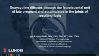 Doxycycline Diffuses through the Fetoplacental Unit of Late Pregnant Mares and Accumulates in the Joints of Resulting Foals icon
