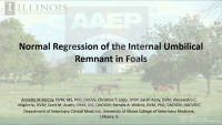 Normal Regression of the Internal Umbilical Remnant in Foals icon