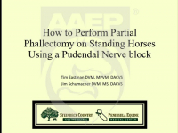 How to Perform Standing Partial Phallectomy in Horses Using a Pudendal Nerve Block icon