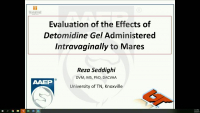 Evaluation of the Effects of Detomidine Gel Administered Intravaginally to Mares icon