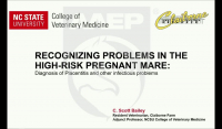 Recognizing Problems in the High-Risk Pregnant Mare: Diagnosis of Placentitis and Other Infectious Problems icon