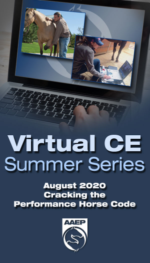 AAEP Virtual CE Summer Series 2020 icon