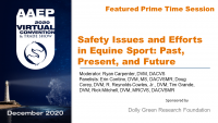 Prime Time: Safety Issues and Efforts in Equine Sport Panel icon