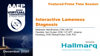Prime Time: Interactive Lameness Diagnosis