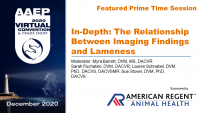 Prime Time: The Relationship Between Imaging Findings and Lameness Q&A/Panel icon