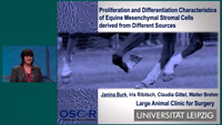 Growth and Differentiation of Equine MSC from Different Sources icon