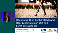 Racehorse Hindlimb Fetlock and Hoof Kinematics on Dirt and Synthetic Surfaces icon