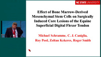 Effect of Mesenchymal Stem Cells on Healing of Core Lesions of Superficial Flexor Tendons icon