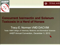 Concurrent Ivermectin and Solanum Species Toxicosis in a Herd of Horses icon