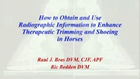 How to Obtain and Use Radiographic Information to Enhance Therapeutic Trimming and Shoeing in Horses  icon