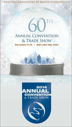 AAEP Annual Convention 2014 icon