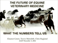 Future of Equine Veterinary Medicine: What the Numbers Tell Us icon