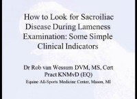 How to Look for Sacroiliac Disease During Lameness Examination: Some Simple Clinical Indicators
