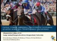 Caudal Lumbar Vertebral Fractures in California Quarter Horse and Thoroughbred Racehorses