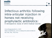 Infectious Arthritis Following Intra-Articular Injection in Horses Not Receiving Prophylactic Antibiotics: A Retrospective Cohort Study of 2833 Medical Records
