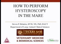 How to Perform Hysteroscopy in the Mare