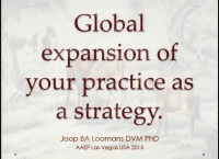 Global Expansion of Your Practice as a Strategy