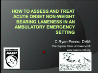 How to Assess and Treat Acute Onset Non-Weight Bearing Lameness in an Ambulatory Emergency Setting icon