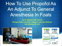 How to Use Propofol as an Adjunct to General Anesthesia in Foals icon