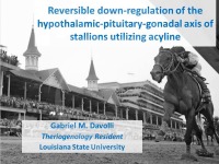 Reversible Downregulation of Hypothalamic-Pituitary-Gonadal Axis in the Stallion With a Third-Generation Gonadotropin-Releasing Hormone Antagonist
