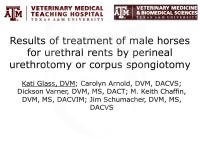 Results of Treatment of Male Horses With Urethral Rents by Perineal Urethrotomy or Corpus Spongiotomy