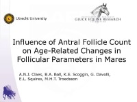 Influence of Antral Follicle Count on Age-Related Changes in Follicular Parameters in Mares