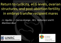 Return to Cyclicity, eCG Levels, Ovarian Structures, and Post-Abortion Fertility in Embryo Transfer Recipient Mares