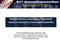 Morphometric Evaluation of Placental Vascular Network in Mares With Laminitis