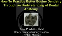 How to Improve Your Equine Dentistry Practice by Better Understanding Oral Anatomy icon