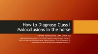 How to Diagnose Class 1 Malocclusions in the Horse icon