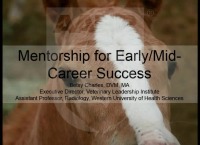 Mentorship for Early/Mid-Career Success icon