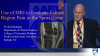 Use of MRI to Evaluate Fetlock Region Pain in the Sport Horse icon